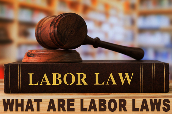 What-Are-Labor-Laws.jpg